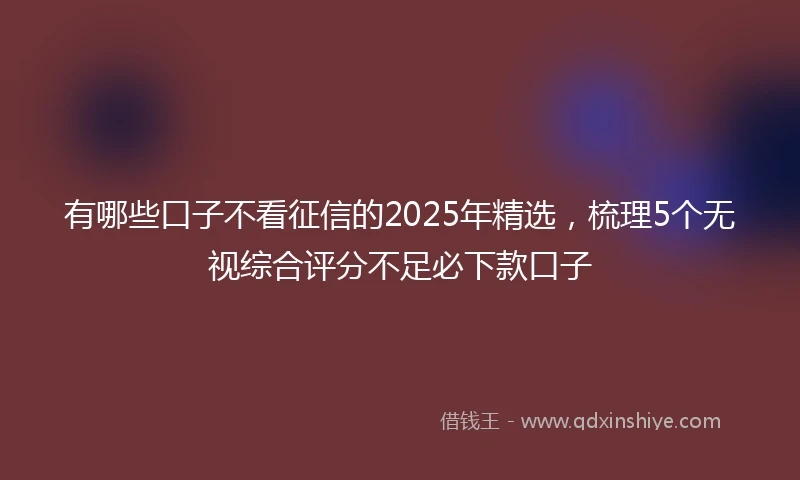 有哪些口子不看征信的2025年精选，梳理5个无视综合评分不足必下款口子