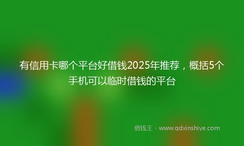 有信用卡哪个平台好借钱2025年推荐，概括5个手机可以临时借钱的平台