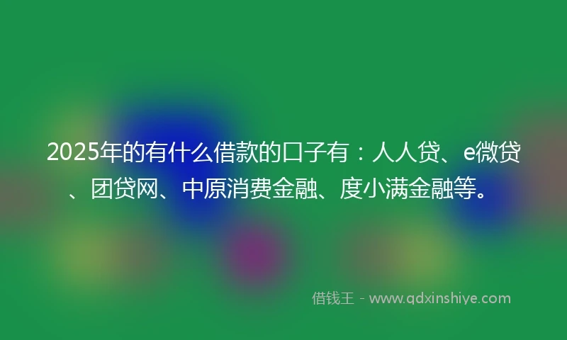 2025年的有什么借款的口子有：人人贷、e微贷、团贷网、中原消费金融、度小满金融等。