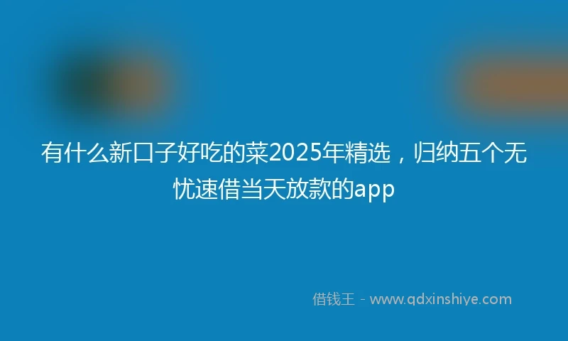 有什么新口子好吃的菜2025年精选，归纳五个无忧速借当天放款的app
