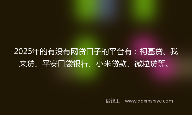 2025年的有没有网贷口子的平台有：柯基贷、我来贷、平安口袋银行、小米贷款、微粒贷等。