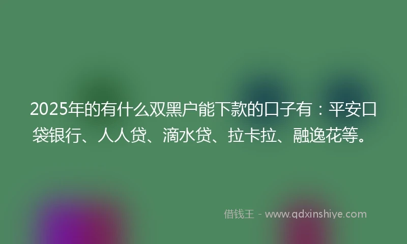 2025年的有什么双黑户能下款的口子有：平安口袋银行、人人贷、滴水贷、拉卡拉、融逸花等。