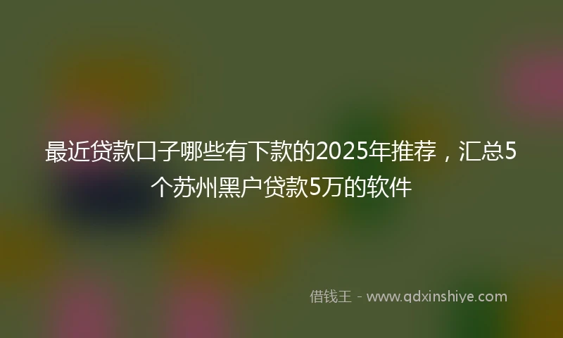 最近贷款口子哪些有下款的2025年推荐，汇总5个苏州黑户贷款5万的软件