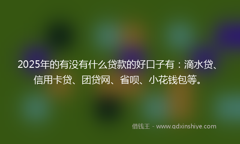 2025年的有没有什么贷款的好口子有：滴水贷、信用卡贷、团贷网、省呗、小花钱包等。