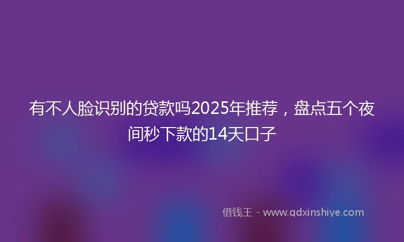 有不人脸识别的贷款吗2025年推荐，盘点五个夜间秒下款的14天口子
