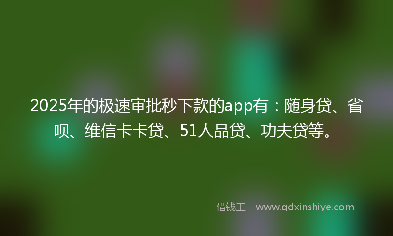 2025年的极速审批秒下款的app有：随身贷、省呗、维信卡卡贷、51人品贷、功夫贷等。