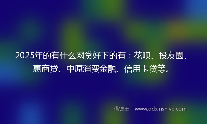 2025年的有什么网贷好下的有：花呗、投友圈、惠商贷、中原消费金融、信用卡贷等。