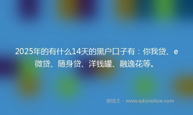 2025年的有什么14天的黑户口子有：你我贷、e微贷、随身贷、洋钱罐、融逸花等。