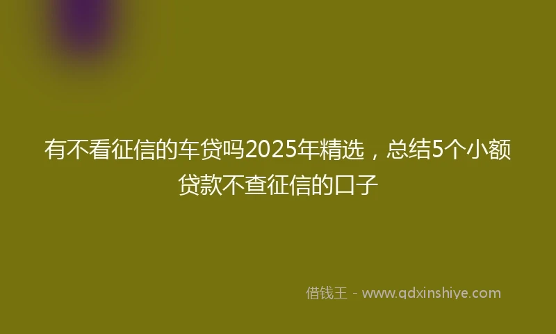 有不看征信的车贷吗2025年精选，总结5个小额贷款不查征信的口子