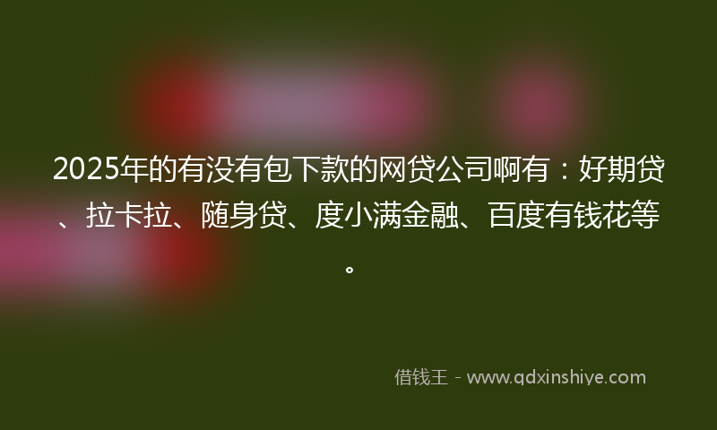 2025年的有没有包下款的网贷公司啊有：好期贷、拉卡拉、随身贷、度小满金融、百度有钱花等。
