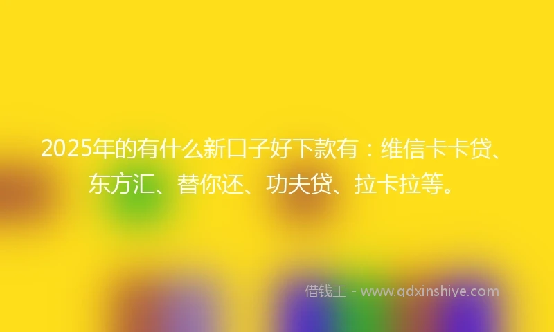 2025年的有什么新口子好下款有：维信卡卡贷、东方汇、替你还、功夫贷、拉卡拉等。