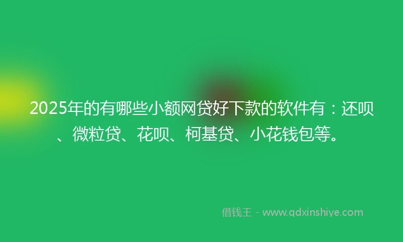 2025年的有哪些小额网贷好下款的软件有：还呗、微粒贷、花呗、柯基贷、小花钱包等。