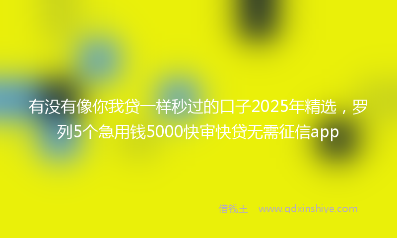 有没有像你我贷一样秒过的口子2025年精选，罗列5个急用钱5000快审快贷无需征信app