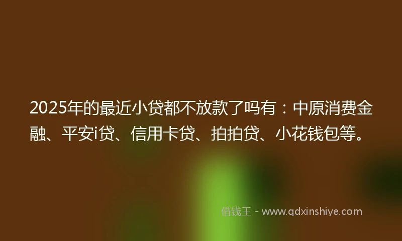 2025年的最近小贷都不放款了吗有：中原消费金融、平安i贷、信用卡贷、拍拍贷、小花钱包等。