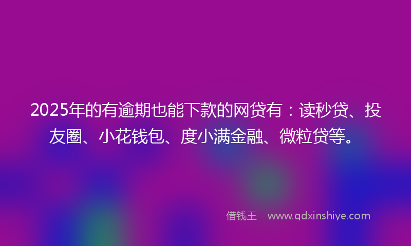 2025年的有逾期也能下款的网贷有：读秒贷、投友圈、小花钱包、度小满金融、微粒贷等。