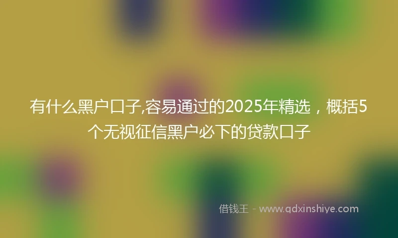 有什么黑户口子,容易通过的2025年精选，概括5个无视征信黑户必下的贷款口子