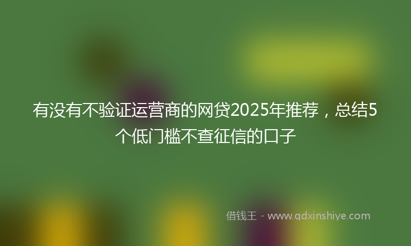 有没有不验证运营商的网贷2025年推荐，总结5个低门槛不查征信的口子