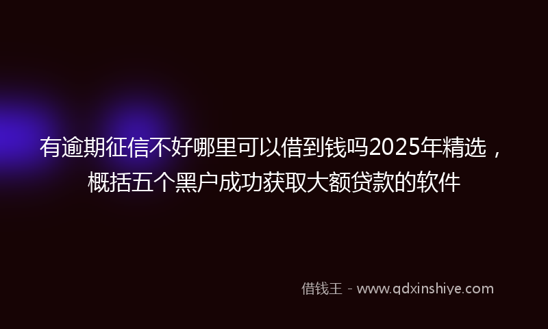 有逾期征信不好哪里可以借到钱吗2025年精选，概括五个黑户成功获取大额贷款的软件