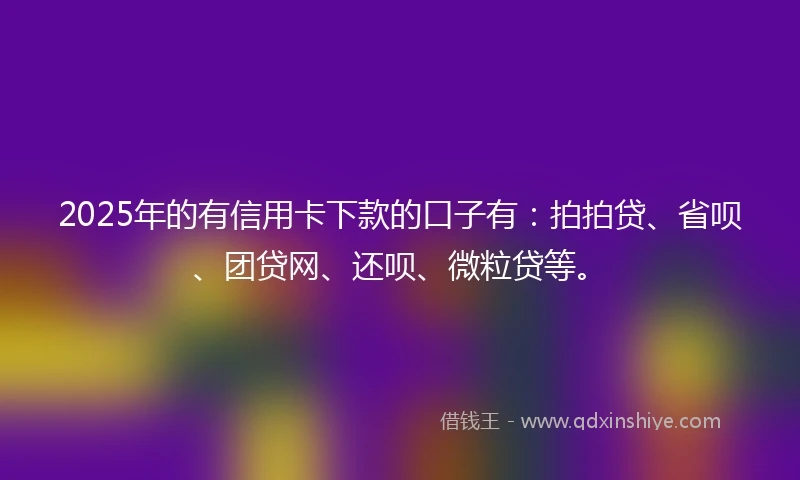 2025年的有信用卡下款的口子有：拍拍贷、省呗、团贷网、还呗、微粒贷等。