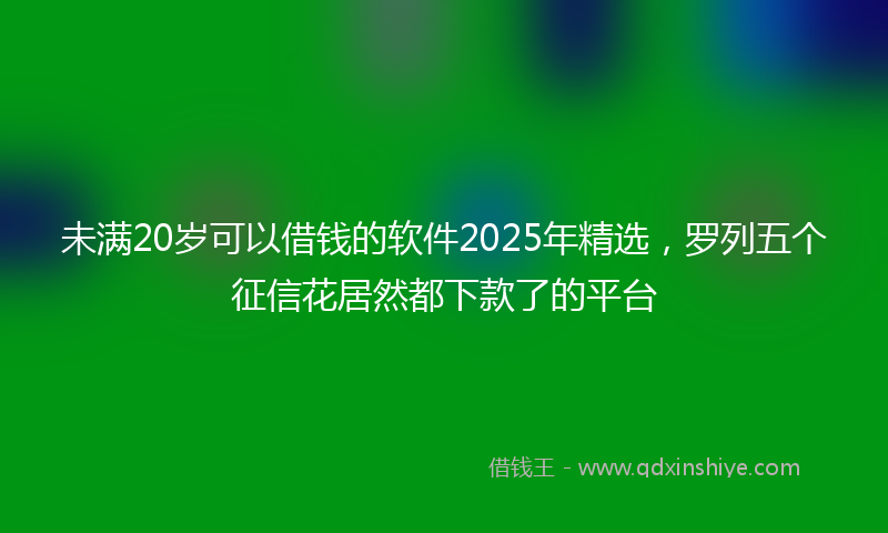未满20岁可以借钱的软件2025年精选，罗列五个征信花居然都下款了的平台