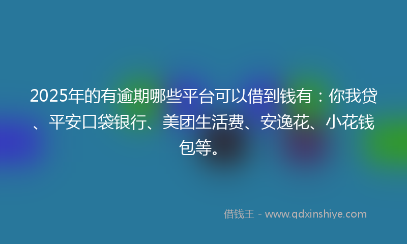 2025年的有逾期哪些平台可以借到钱有：你我贷、平安口袋银行、美团生活费、安逸花、小花钱包等。