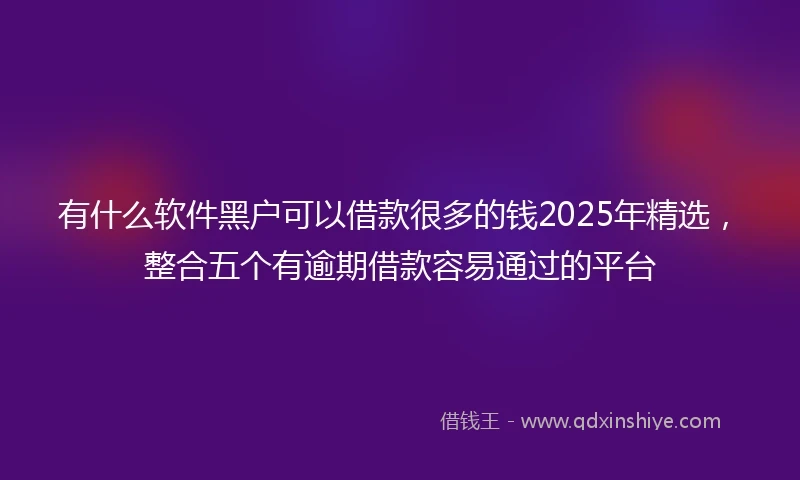 有什么软件黑户可以借款很多的钱2025年精选，整合五个有逾期借款容易通过的平台