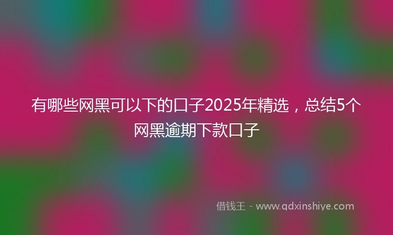 有哪些网黑可以下的口子2025年精选，总结5个网黑逾期下款口子