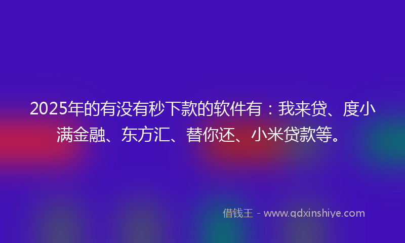 2025年的有没有秒下款的软件有：我来贷、度小满金融、东方汇、替你还、小米贷款等。
