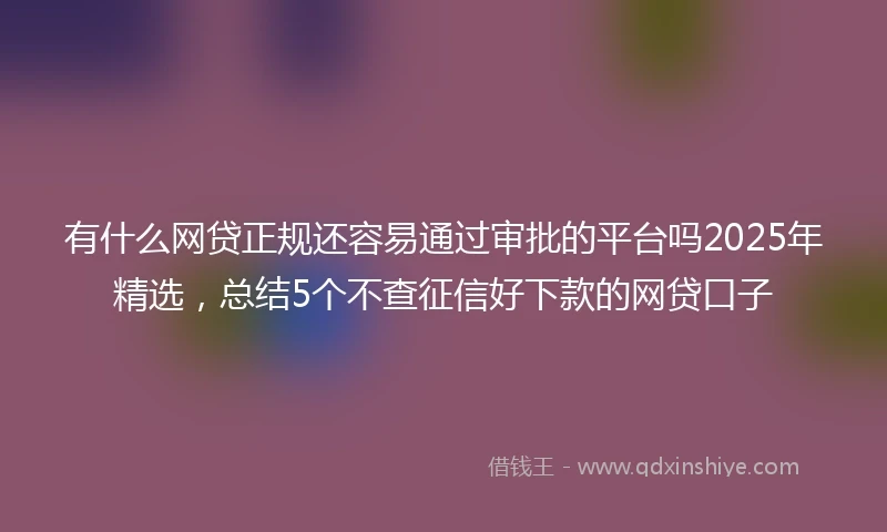 有什么网贷正规还容易通过审批的平台吗2025年精选,总结5个不查征信好下款的网贷口子