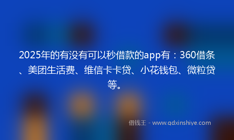 2025年的有没有可以秒借款的app有：360借条、美团生活费、维信卡卡贷、小花钱包、微粒贷等。