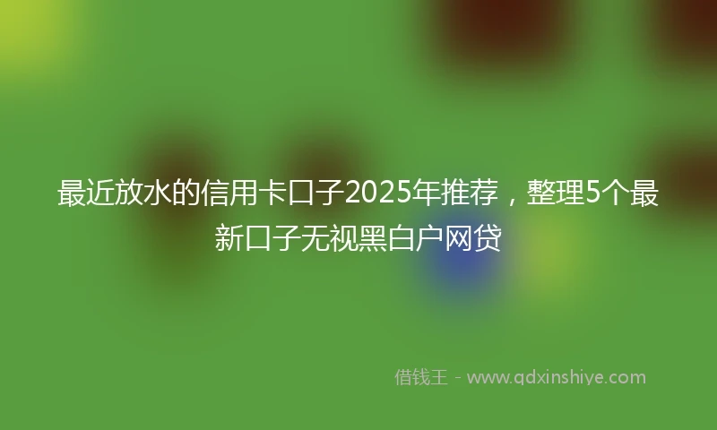 最近放水的信用卡口子2025年推荐，整理5个最新口子无视黑白户网贷