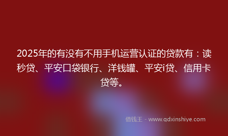 2025年的有没有不用手机运营认证的贷款有：读秒贷、平安口袋银行、洋钱罐、平安i贷、信用卡贷等。
