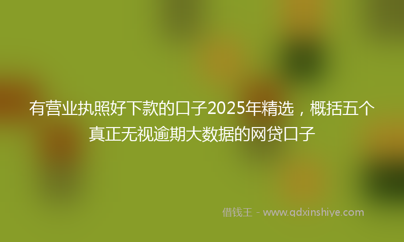 有营业执照好下款的口子2025年精选，概括五个真正无视逾期大数据的网贷口子
