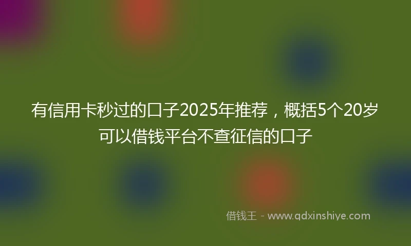 有信用卡秒过的口子2025年推荐,概括5个20岁可以借钱平台不查征信的口子