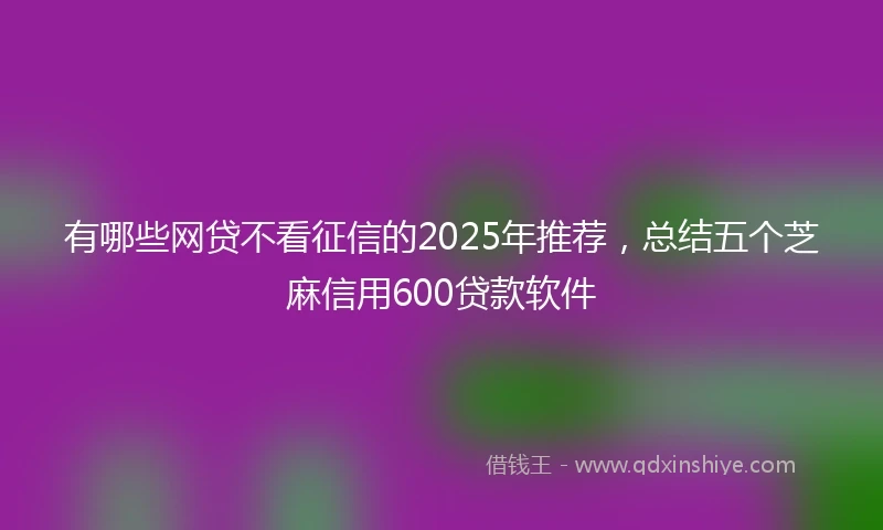 有哪些网贷不看征信的2025年推荐，总结五个芝麻信用600贷款软件