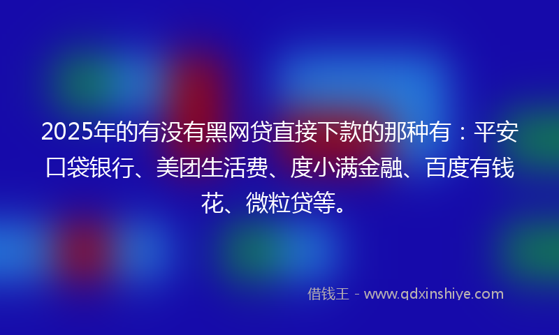 2025年的有没有黑网贷直接下款的那种有：平安口袋银行、美团生活费、度小满金融、百度有钱花、微粒贷等。