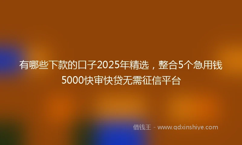 有哪些下款的口子2025年精选，整合5个急用钱5000快审快贷无需征信平台