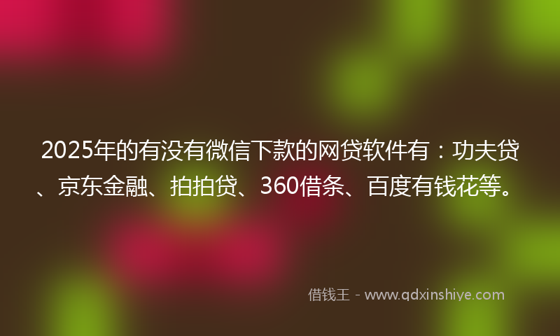 2025年的有没有微信下款的网贷软件有：功夫贷、京东金融、拍拍贷、360借条、百度有钱花等。