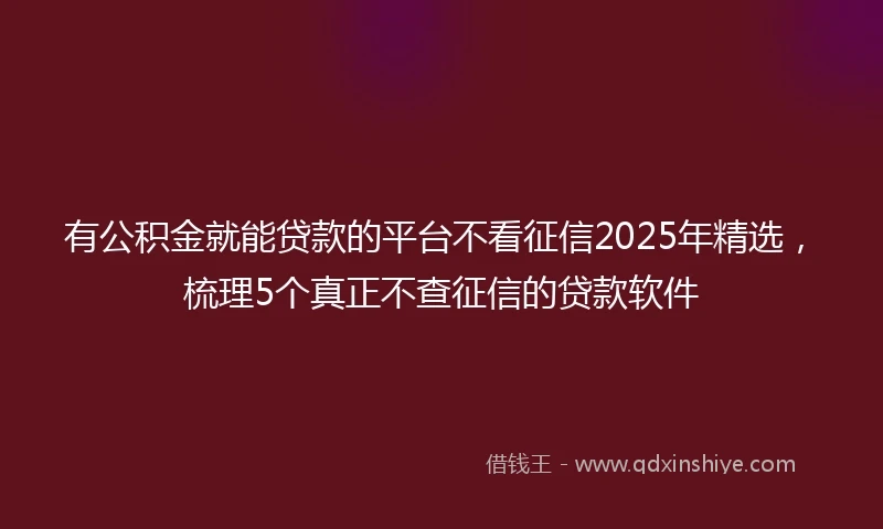 有公积金就能贷款的平台不看征信2025年精选，梳理5个真正不查征信的贷款软件
