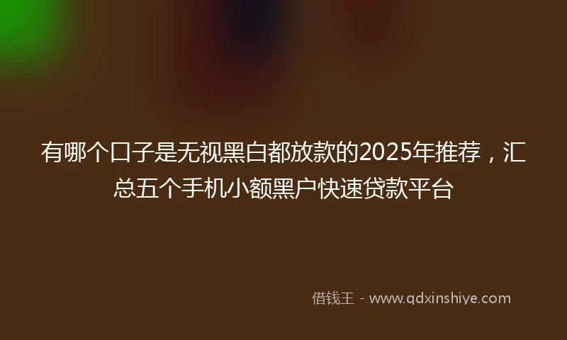 有哪个口子是无视黑白都放款的2025年推荐，汇总五个手机小额黑户快速贷款平台