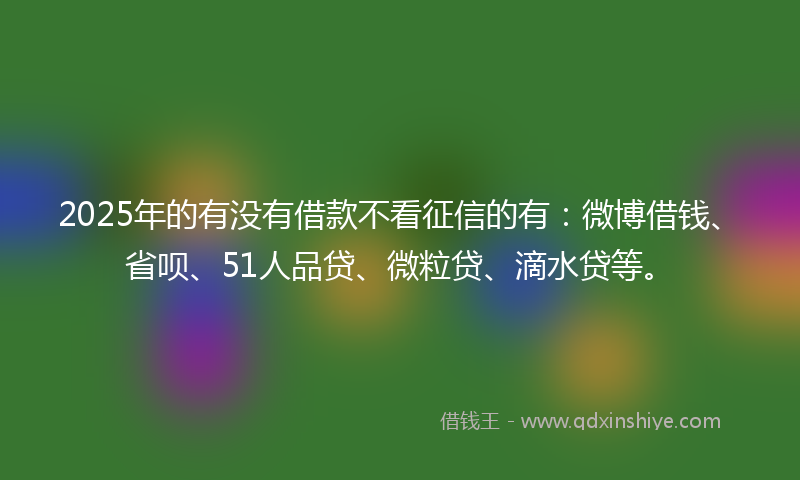 2025年的有没有借款不看征信的有：微博借钱、省呗、51人品贷、微粒贷、滴水贷等。