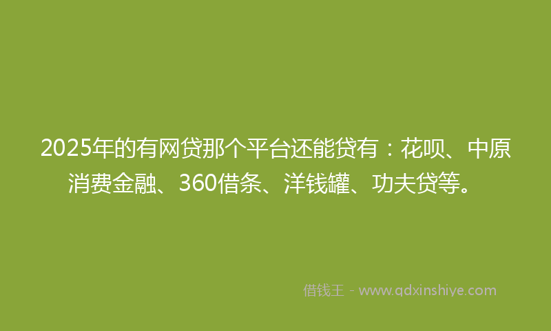 2025年的有网贷那个平台还能贷有：花呗、中原消费金融、360借条、洋钱罐、功夫贷等。