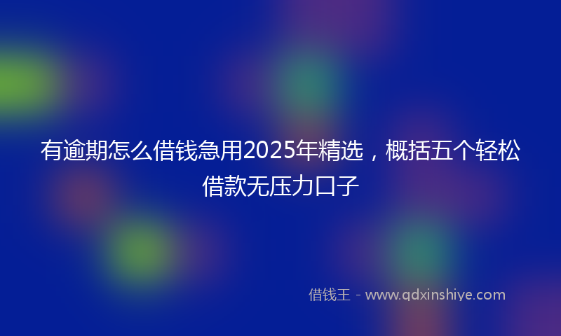 有逾期怎么借钱急用2025年精选，概括五个轻松借款无压力口子
