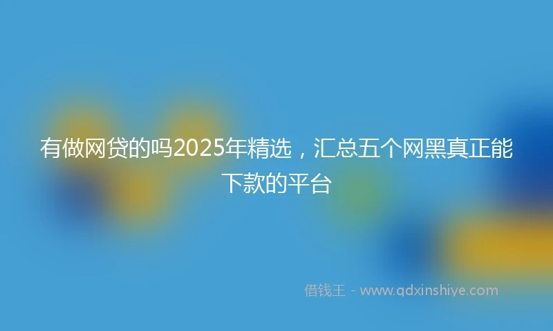 有做网贷的吗2025年精选，汇总五个网黑真正能下款的平台
