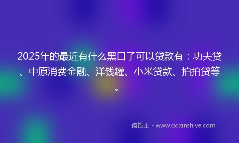 2025年的最近有什么黑口子可以贷款有：功夫贷、中原消费金融、洋钱罐、小米贷款、拍拍贷等。