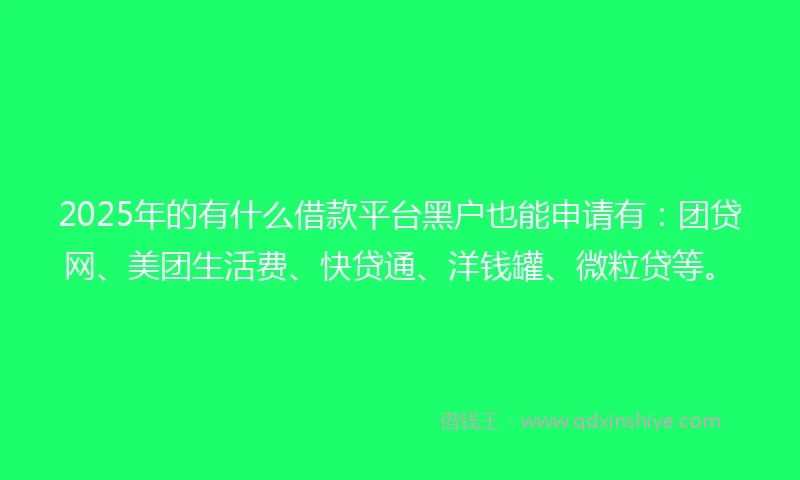 2025年的有什么借款平台黑户也能申请有：团贷网、美团生活费、快贷通、洋钱罐、微粒贷等。