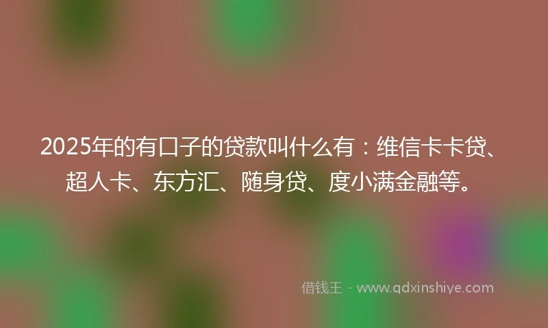 2025年的有口子的贷款叫什么有：维信卡卡贷、超人卡、东方汇、随身贷、度小满金融等。