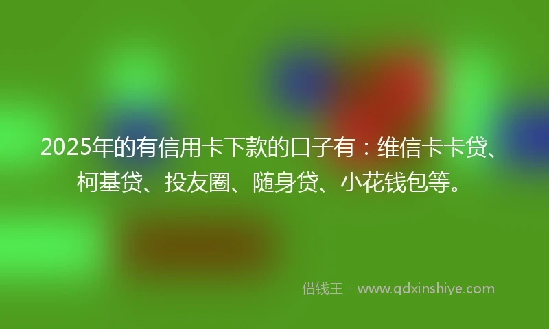 2025年的有信用卡下款的口子有：维信卡卡贷、柯基贷、投友圈、随身贷、小花钱包等。
