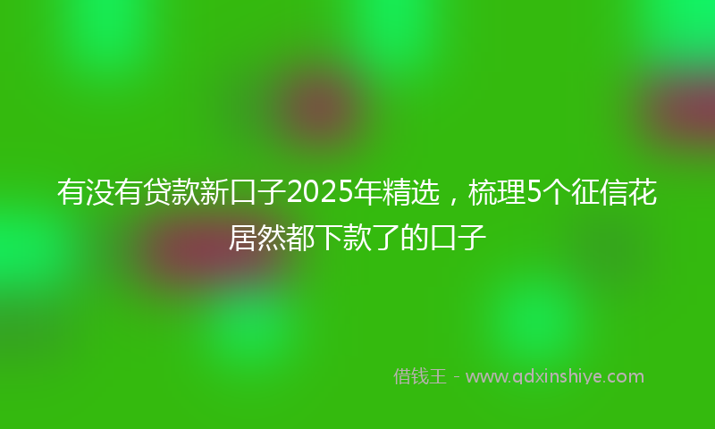 有没有贷款新口子2025年精选，梳理5个征信花居然都下款了的口子