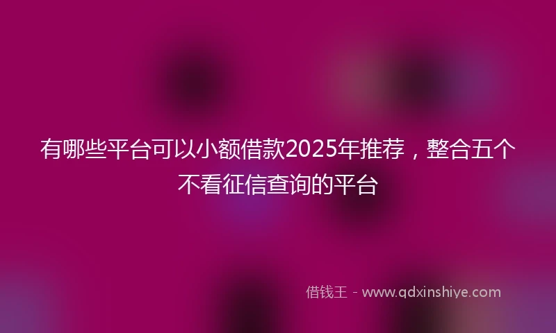 有哪些平台可以小额借款2025年推荐，整合五个不看征信查询的平台